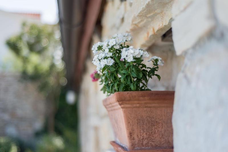 Apartments Villa Renata - image 35