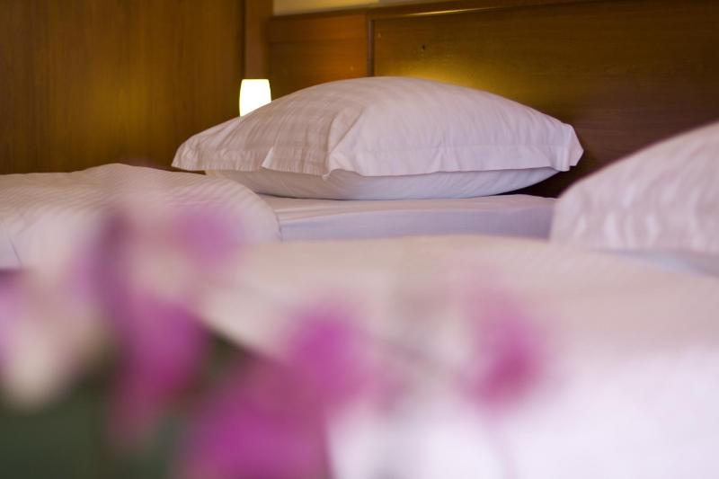 Double or Twin Room image 4