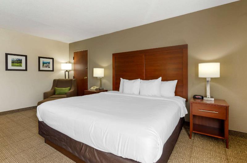 King Room - Non-Smoking image 1