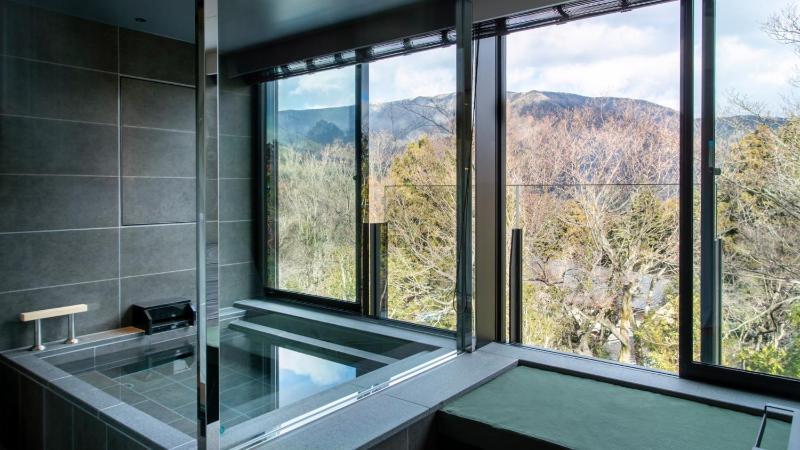 Stylish Premium Suite with Hot Spring Bath  image 1