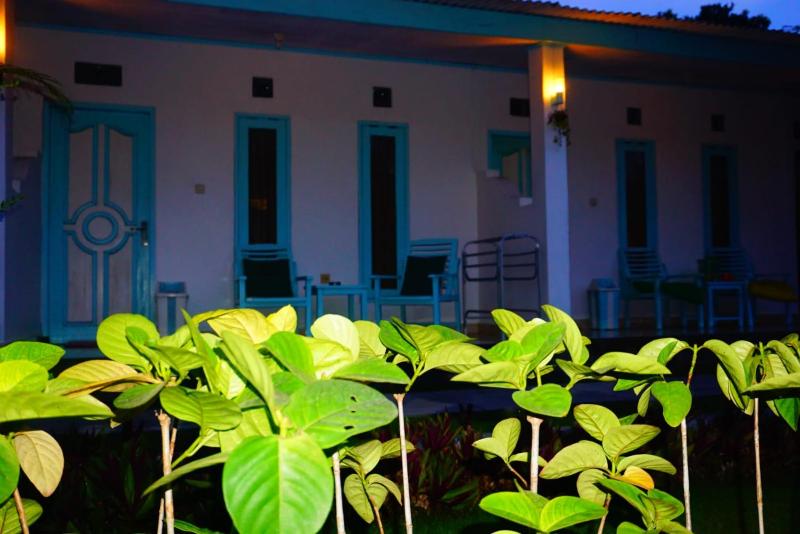 Rose Homestay - image 18