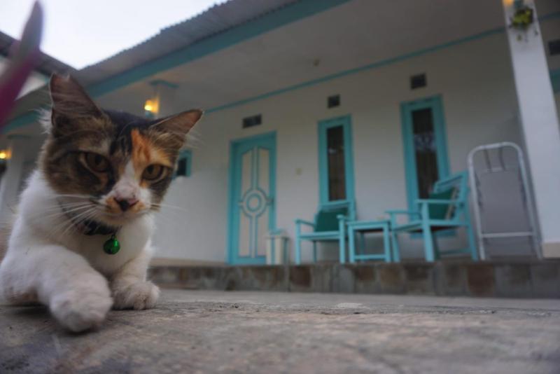 Rose Homestay - image 23