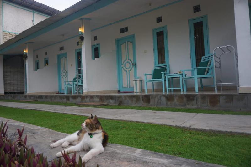 Rose Homestay - image 19
