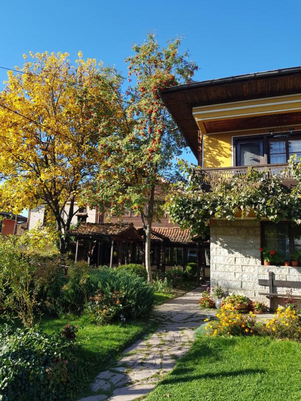 One-Bedroom Suite (2 Adults + 1 Child) image 2