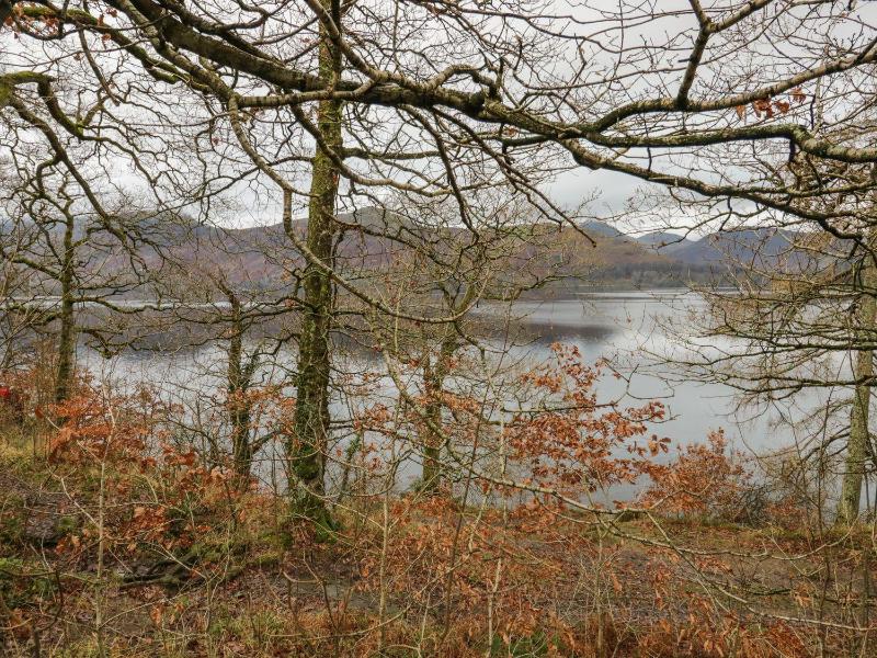 Derwent Cottage - image 26