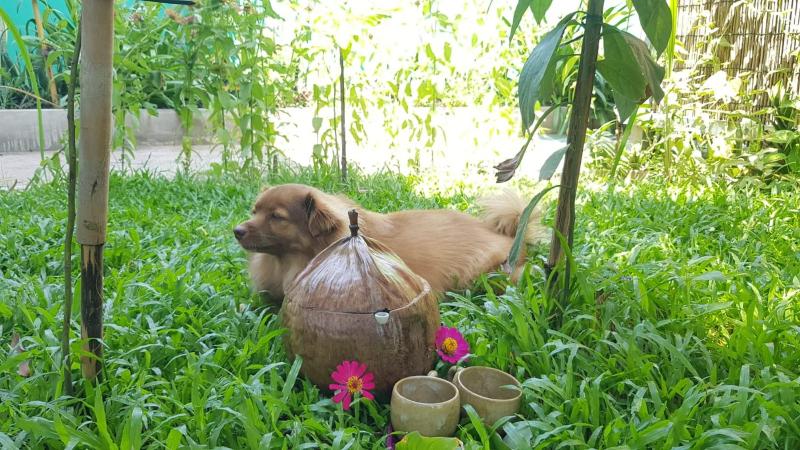 Bloom Garden Bed & Breakfast - image 11