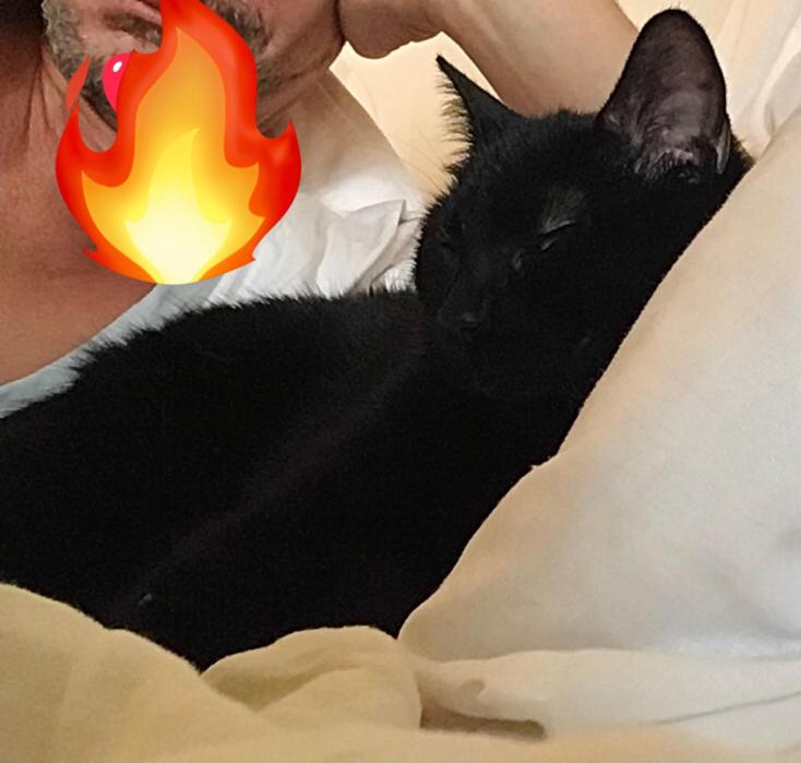 Double or Twin Room image 3