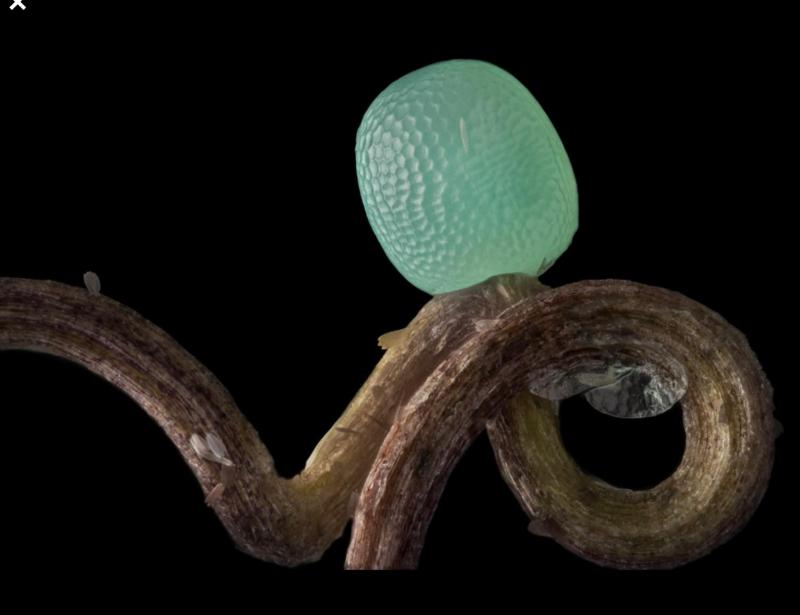 Double or Twin Room image 2