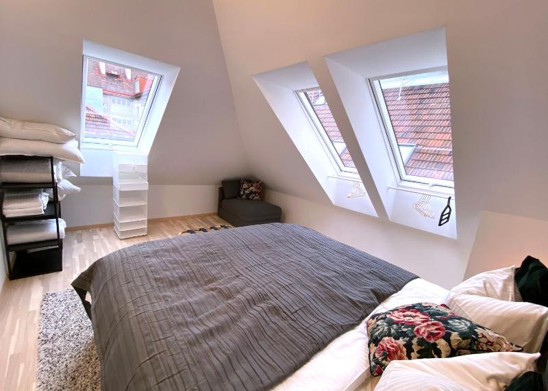 Stilvolle Dachgeschosswohnungen mit Balkon in Innenstadt Nähe - image 15