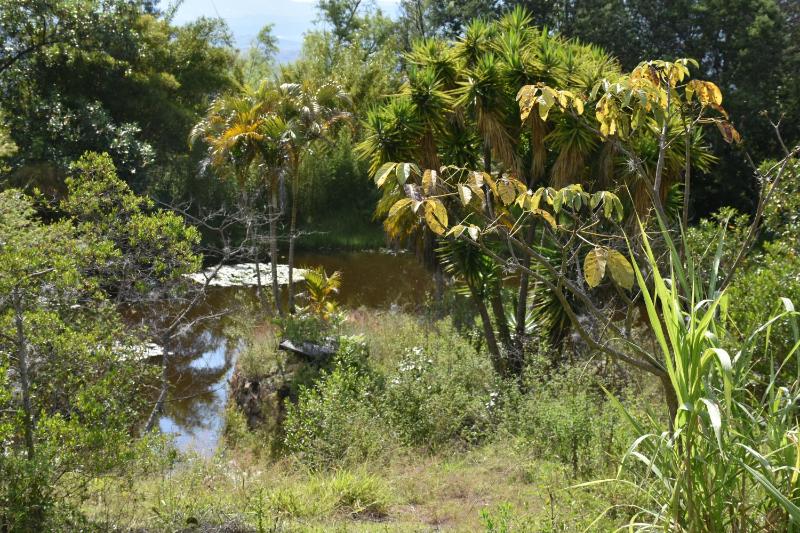 Casa Campestre El Otoño - image 15