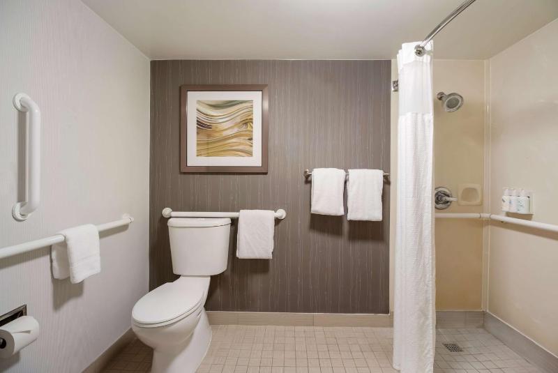 Mobility Accessible - Deluxe King with Roll-In Shower image 2