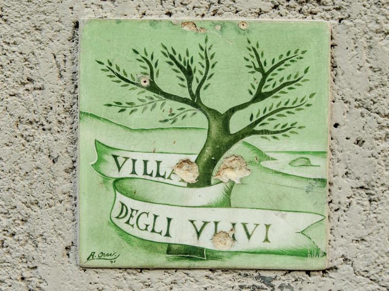 Villa degli Ulivi - image 19