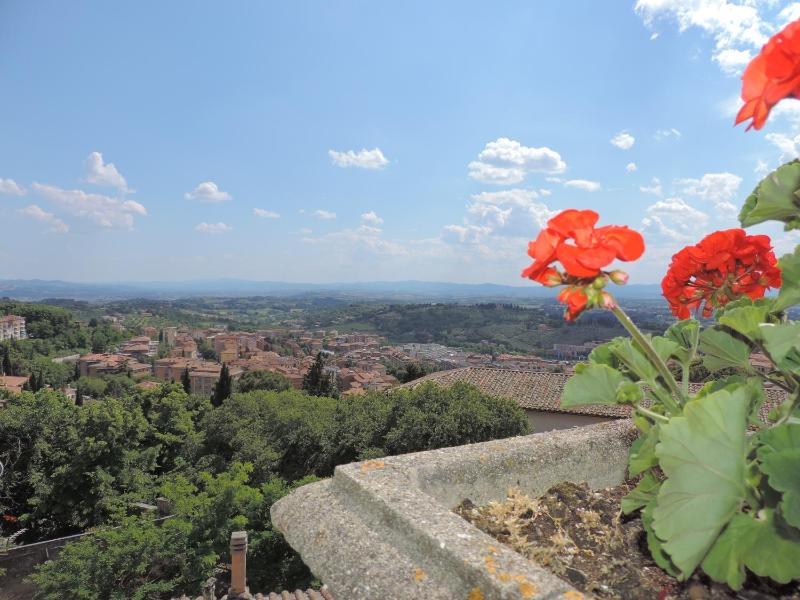 Hotel Signa - image 37
