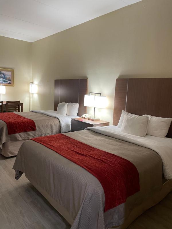 Queen Room with Two Queen Beds - Non-Smoking image 4