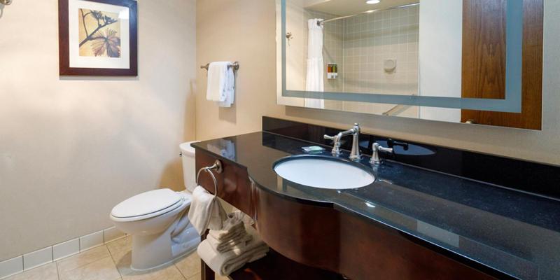 Premium King Room image 2