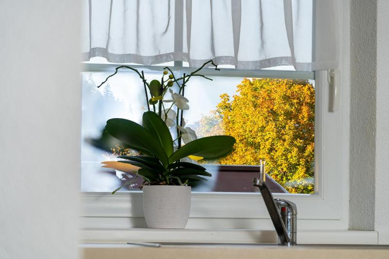 Two-Bedroom Apartment image 3