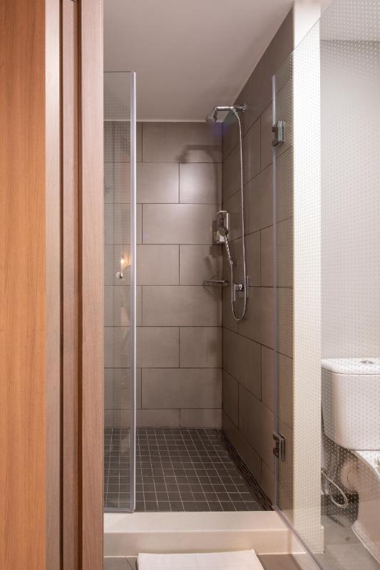 ibis Santa Cruz de la Sierra - image 15