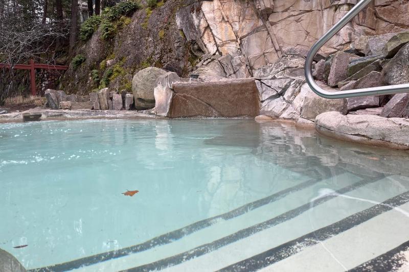 Tremblant-Les-Eaux Le Contemporain by Gestion ELITE - image 35