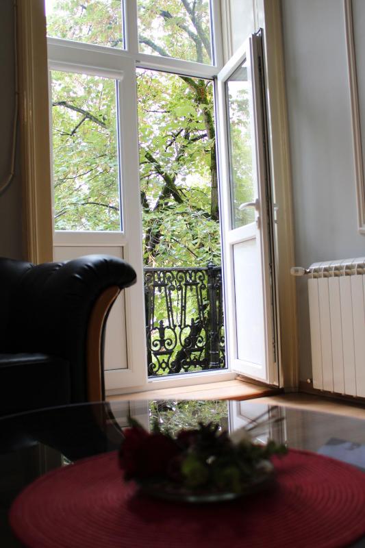 Apartment with Balcony image 4