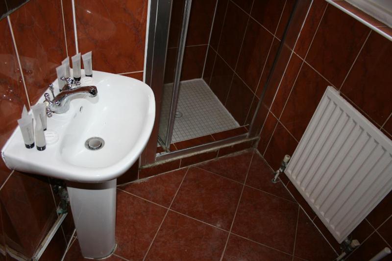 Three-Bedroom Apartment image 3