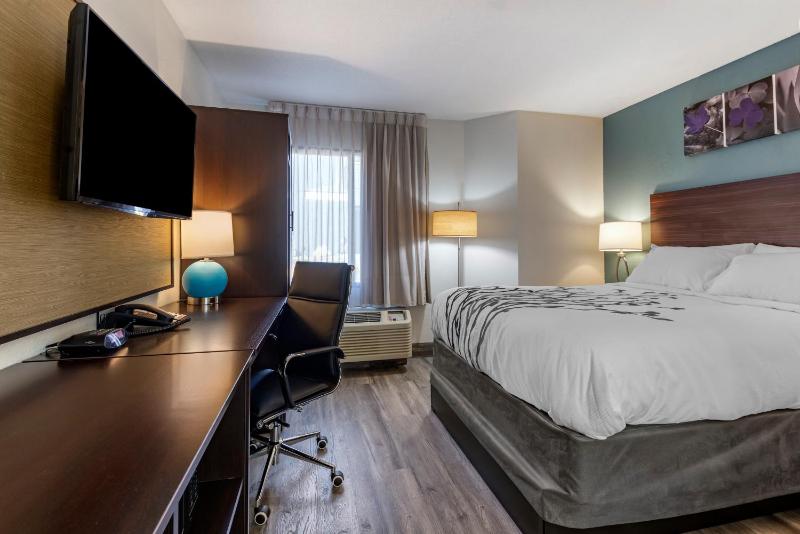 King Room - Accessible/Non-Smoking image 4