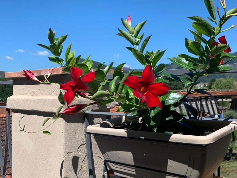 Piccola Dimora B&B - image 19