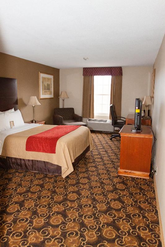 Queen Room - Non-Smoking image 1