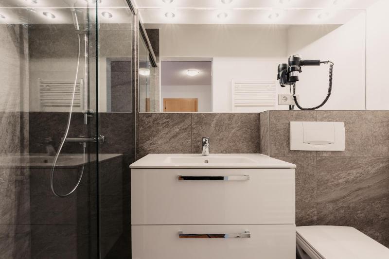 One-Bedroom Apartment image 3