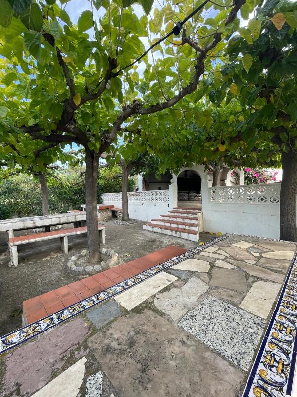 Alpen1 Residencial Finca del Moro - image 29