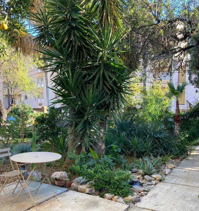 La villa des Amandiers - image 22
