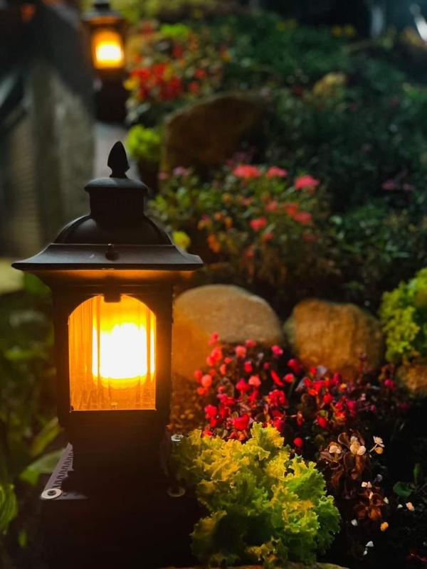 The Edgware Cabana - image 11