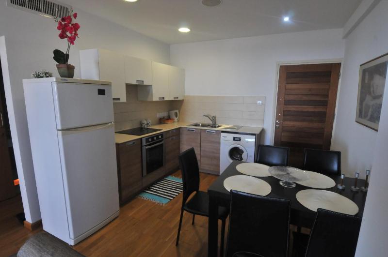 Ithaki Phinikoudes Apartment No. 102 - image 15