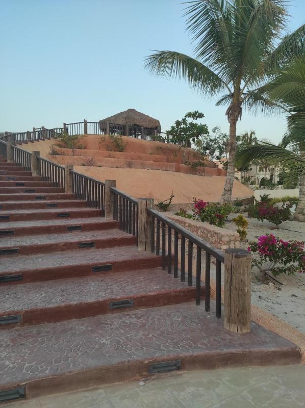 Segal Salalah-Forest Island-Hawana - image 6
