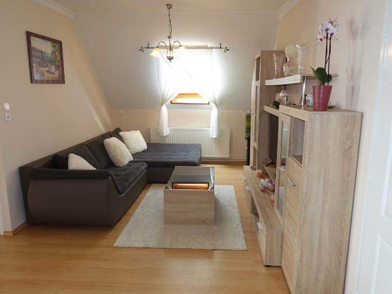 Apartment in Siofok - Balaton 19994 - image 19