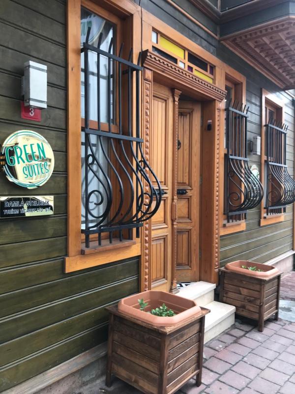 Green Mansion - image 1