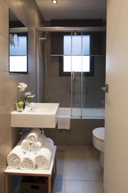 One-Bedroom Apartment image 2