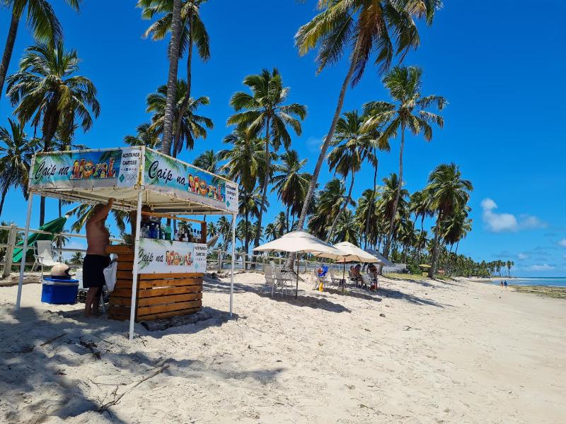 Flat Praia Dos Carneiros - image 11