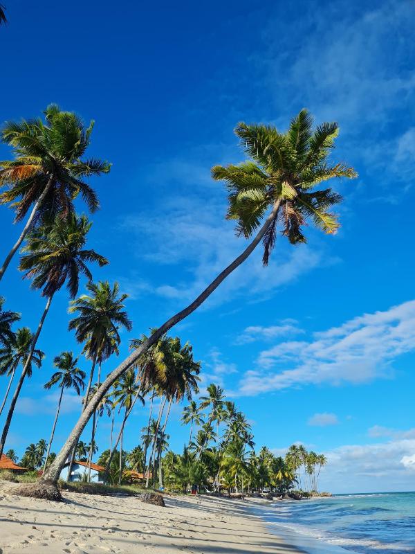 Flat Praia Dos Carneiros - image 27