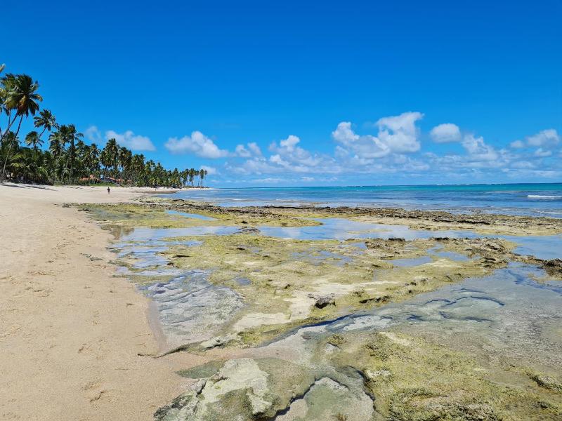 Flat Praia Dos Carneiros - image 23