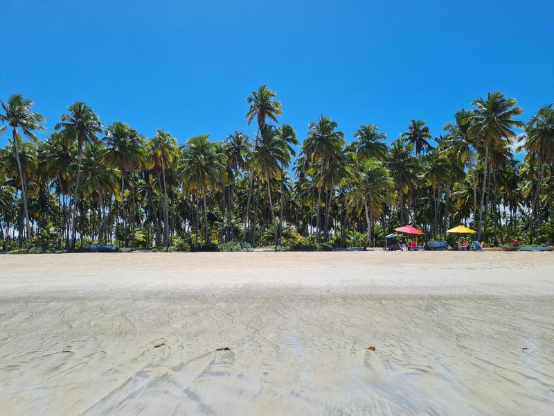 Flat Praia Dos Carneiros - image 29