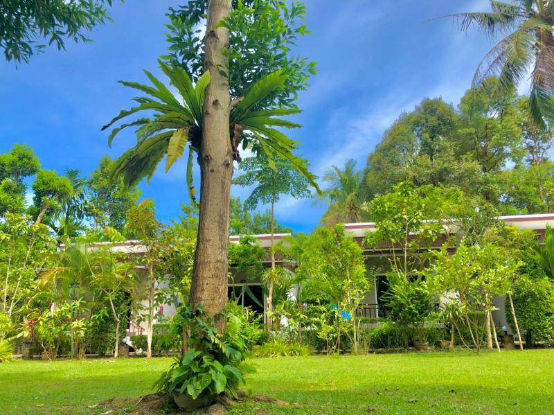 Pana Long Beach Resort - SHA Plus - image 44