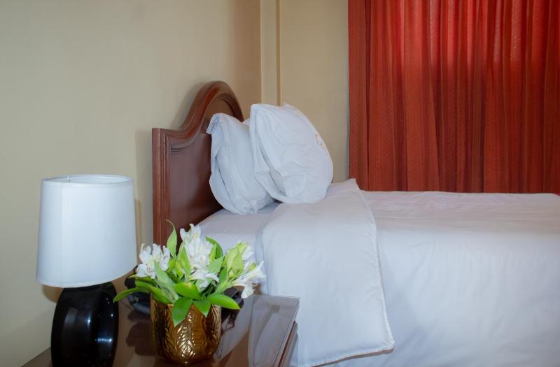 Hotel Alsacia Arequipa - image 3