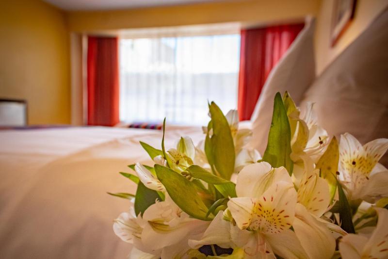 Hotel Alsacia Arequipa - image 1