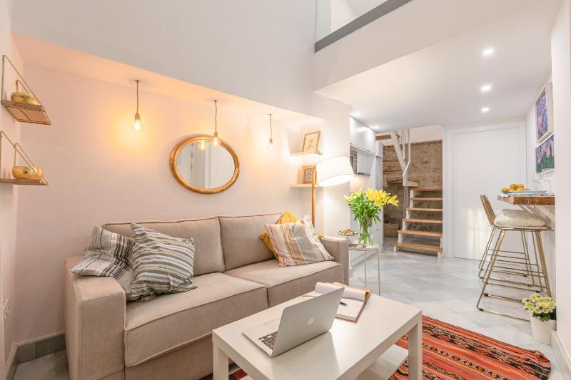 Loft duplex Sevilla wall - image 9