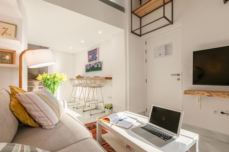 Loft duplex Sevilla wall - image 16