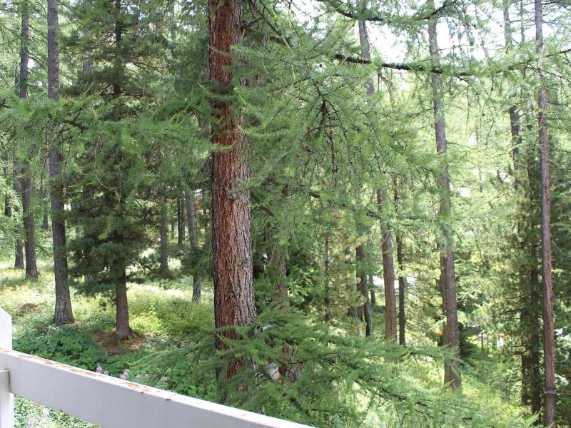 Apartment (4 Adults) image 3