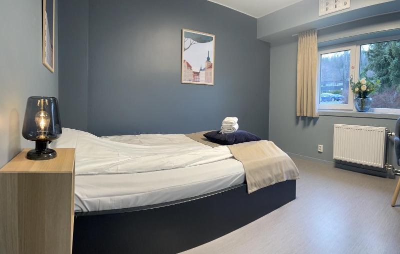 Queen Room - Disability Access image 3