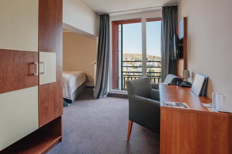 Standard Double Room PLUS with Extra Bed and Wellness Access image 2