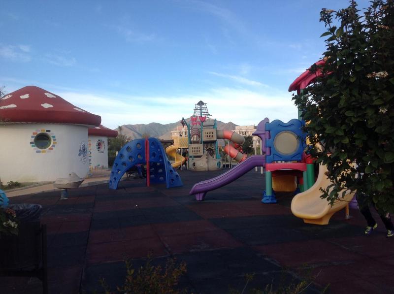 2091- Apt close from all amenities - image 25