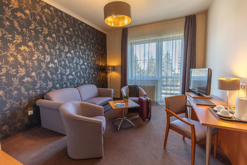 Deluxe Suite image 4